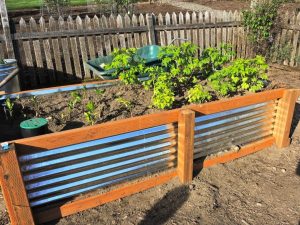 Above Ground Garden Box Ideas