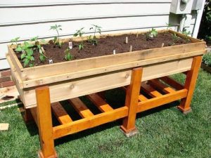 Above Ground Garden Box Lowes