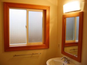 Bathroom Window Privacy Screen