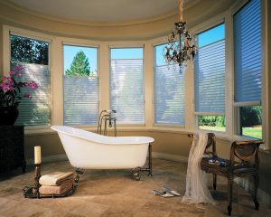 Bathroom Window Treatments Images
