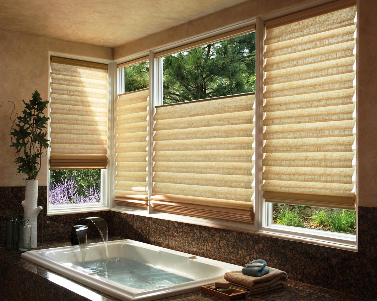 Bathroom Window Treatments Privacy