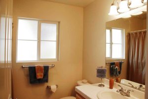 Bathroom Window Treatments Waterproof
