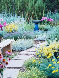Beautiful Drought Tolerant Landscaping Ideas