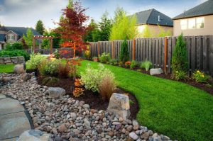 Best Drought Tolerant Landscape Design