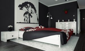Black Painted Bedroom Walls