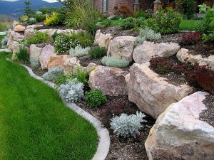 Boulder Retaining Wall and Plants