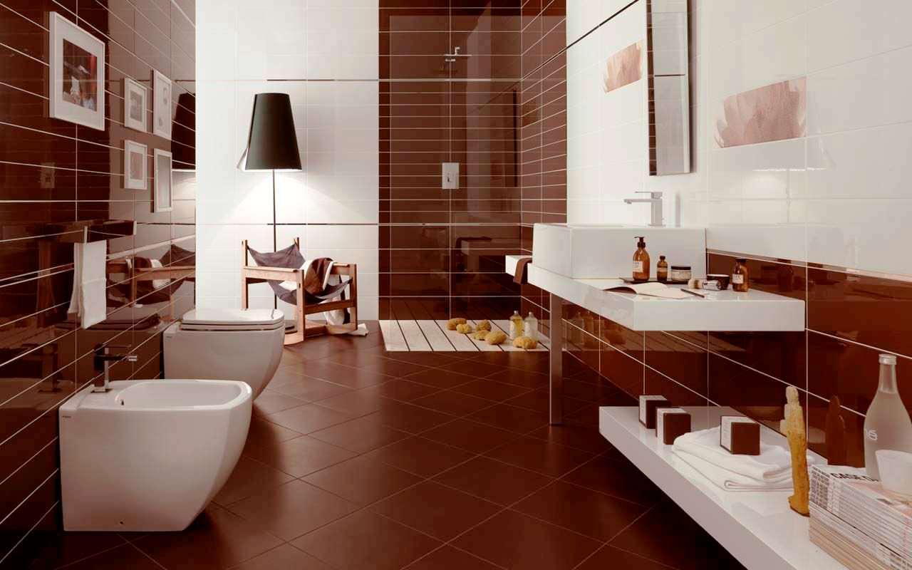 Brown Bathroom Designs