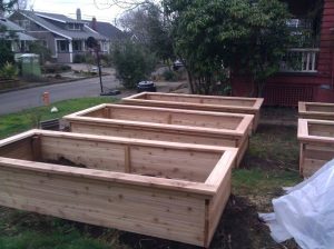 Building an Above Ground Garden Box