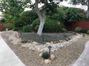 Drought Tolerant Landscape Design Ideas