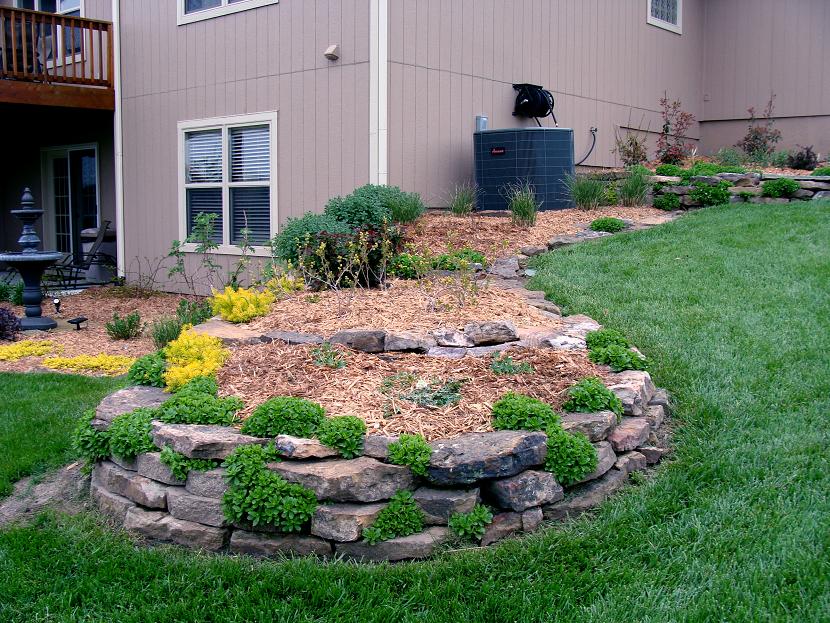 Easy Low Maintenance Landscaping Ideas