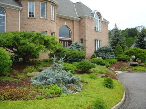 Front Yard Landscape Design Plans