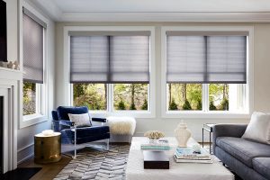 Gray Window Shades and Blinds