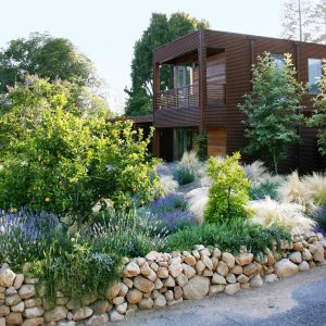 Great Drought Resistant Landscape