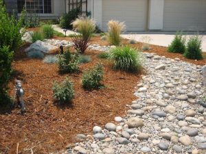 Great Drought Tolerant Landscape Design