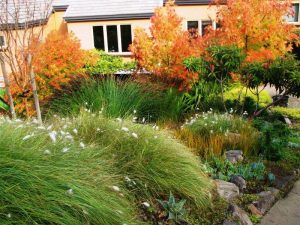 Heather Low Water Landscaping