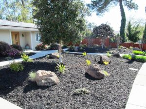 Low Water Front Yard Landscape Design