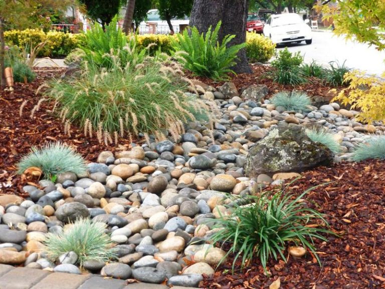 Low Water Landscape Design Ideas — Randolph Indoor and Outdoor Design