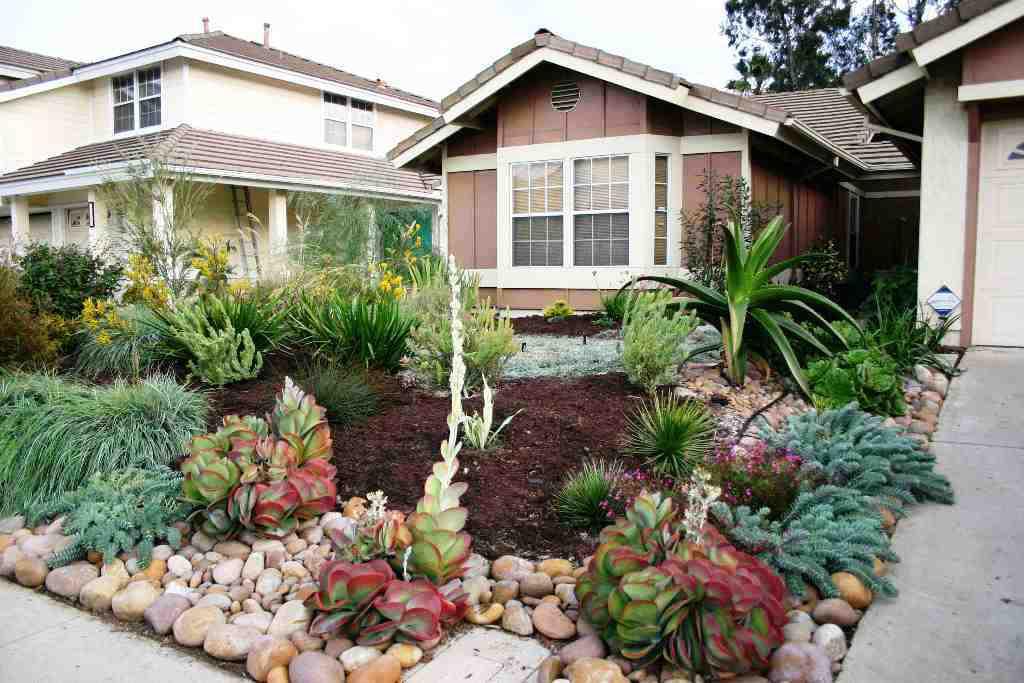Low Water Landscaping Accents