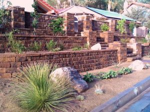 Low Water Landscaping Plants Design