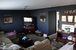 Navy Blue Living Room Walls