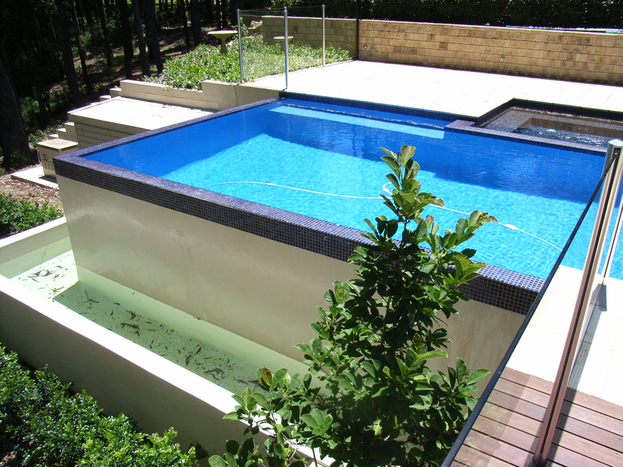Negative Edge Pool Amazing Design — Randolph Indoor and Outdoor Design