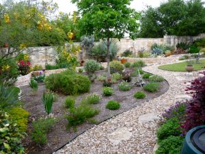 Perfect Drought Resistant Landscape
