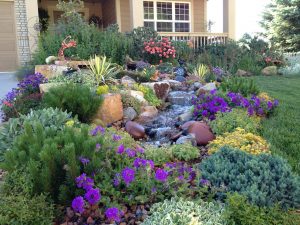 Perfect Low Maintenance Landscaping Ideas