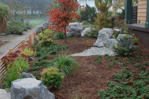 Smart Drought Tolerant Landscape Design
