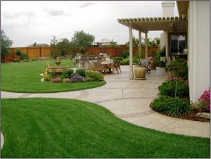 Backyard Design Ideas For Dogs