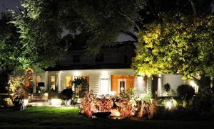 Backyard Lighting Ideas For Trees