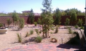 Cheap Desert Landscaping Ideas