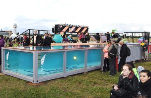 Container Swimming Pool Dimensions