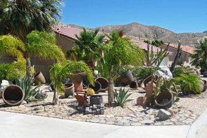 Contemporary Desert Landscaping Ideas
