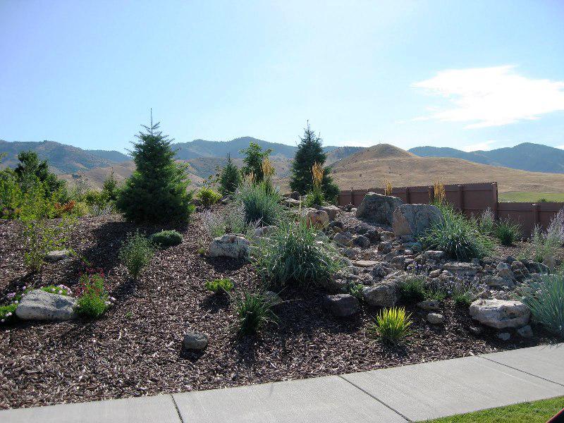 Desert Landscaping Ideas Tips & Guide — Randolph Indoor and Outdoor Design