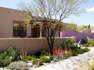 Diy Desert Landscaping Ideas