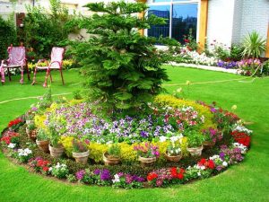 Flower Bed Ideas Around A Tree