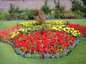 Flower Bed Ideas Full Sun