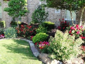 Flower Bed Ideas On A Budget
