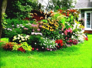 Flower Bed Ideas With Hostas