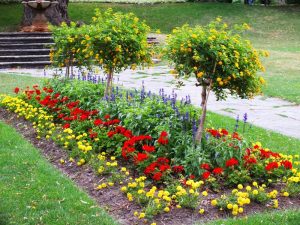 Flower Bed Ideas With Mulch