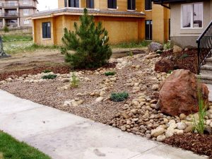 Front Yard Desert Landscaping Ideas On A Budget