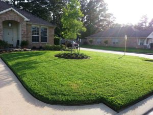 Front Yard Designs For Landscaping