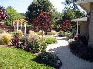 Front Yard Designs Modern