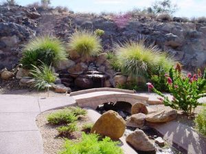 Landscaping Ideas Desert Climate