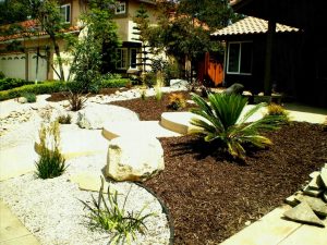 Cheap Low Maintenance Landscaping Ideas