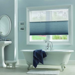 Ideal Bathroom Window Privacy