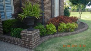 Low Maintenance Landscaping Ideas For Front Of House