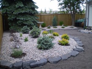 Low Maintenance Tropical Landscaping Ideas
