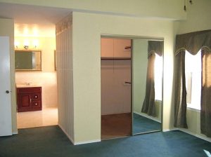 Best Mirror Sliding Closet Doors