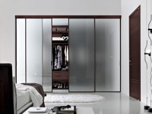 Organizers Frosted Glass Closet Doors